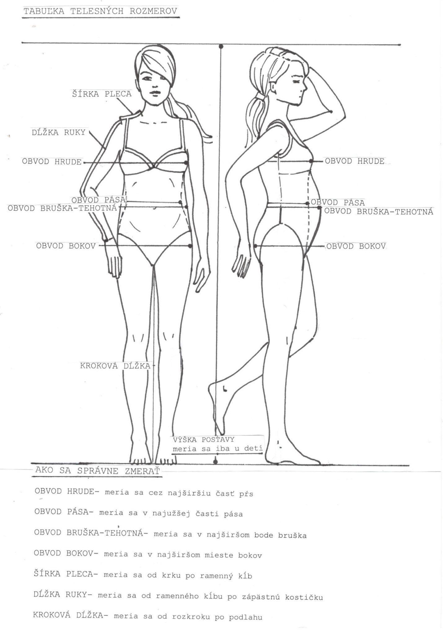 Tabuľka telesných rozmerov